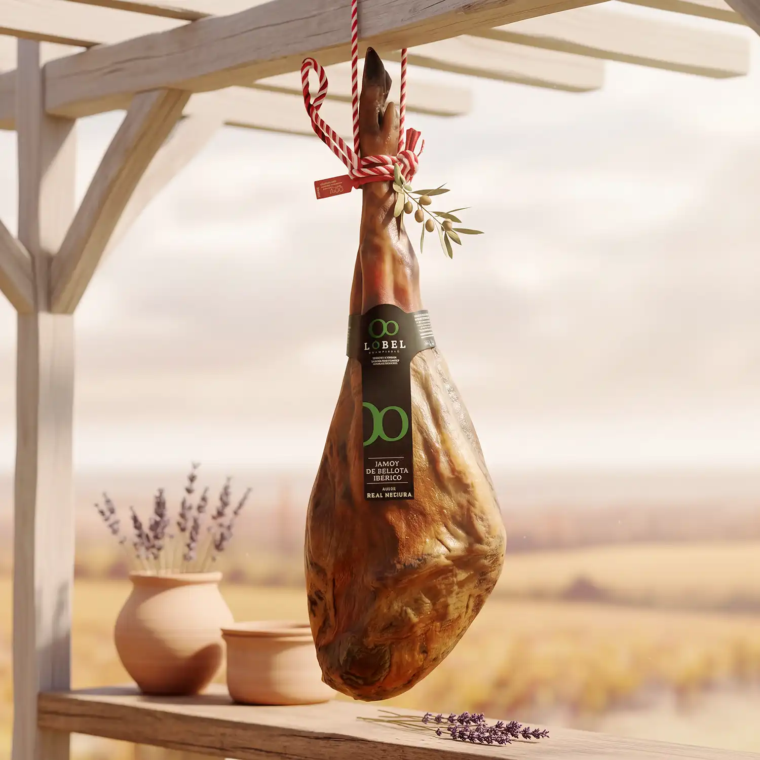 Jamón ibérico de bellota madurando en bodega natural - Categoría Jamones Chacinas Lobel.